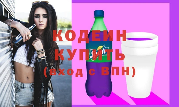 стаф Вязьма