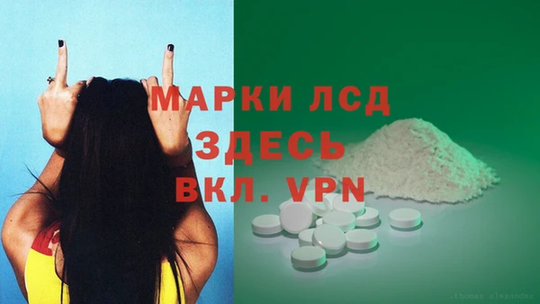 стаф Вязьма