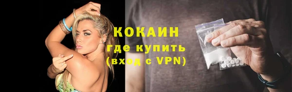стаф Вязьма