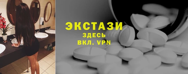 стаф Вязьма
