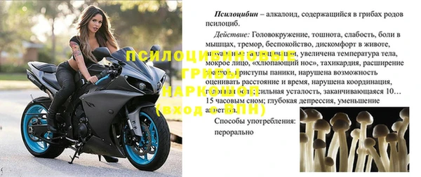 бошки Строитель