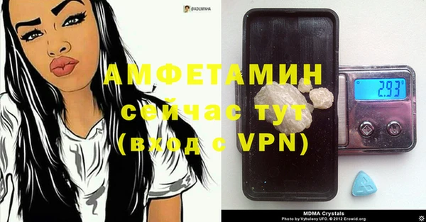 стаф Вязьма