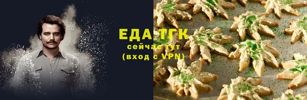 стаф Вязьма