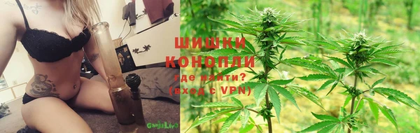 стаф Вязьма